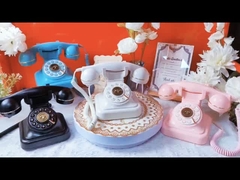 Recuerdos duraderos Libro de invitados de la boda Registro telefónico Mensaje Libro de invitados de la boda