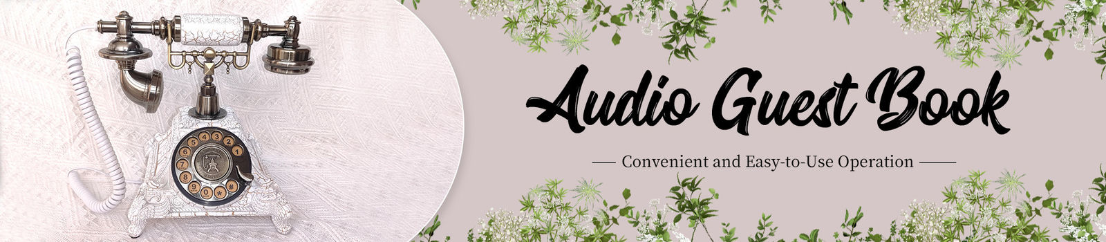 Libro de visitas de audio